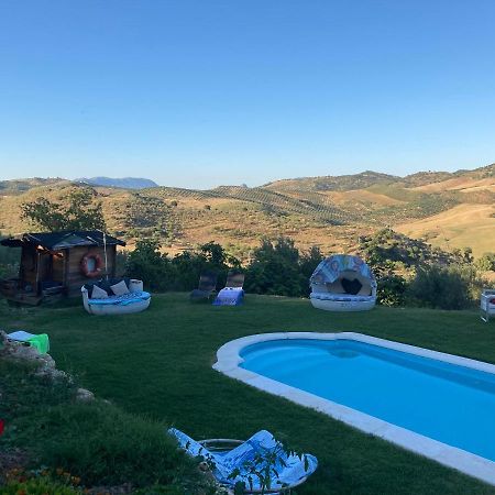 Finca El Porvenir 埃尔加斯托尔 外观 照片